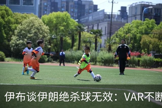 伊布谈伊朗绝杀球无效：VAR不断引发争议，偷走了一个国家的梦想