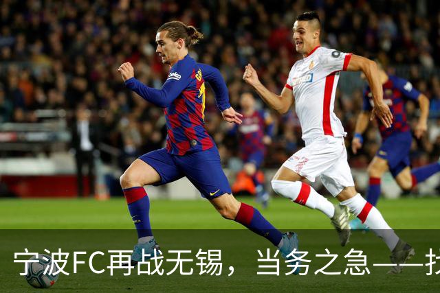 宁波FC再战无锡，当务之急——找到外援托莫维奇的使用说明书